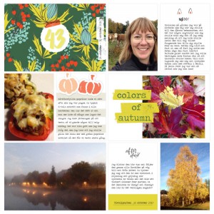 Pocket page week 43a