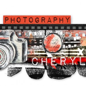 DSD Siggy Challenge