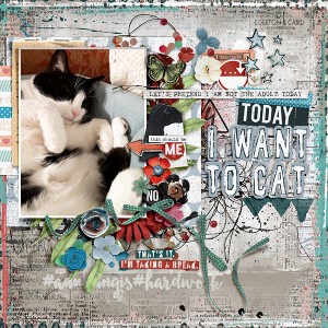 I Want To Cat