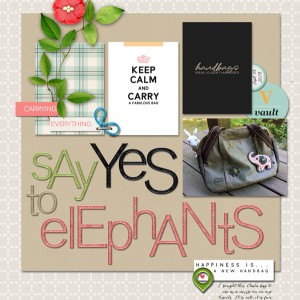 Pink-Reptile-Designs_2019-10_October_DSD_1005_In-My-Purse_web
