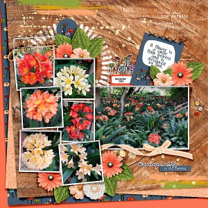 Clivias