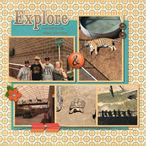 Wild Animal Sanctuary