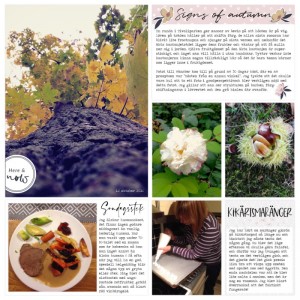 Pocket page w 41 2016 page 2