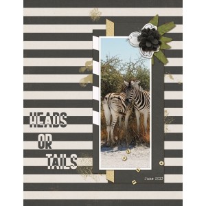 Oct2019-DSD-5