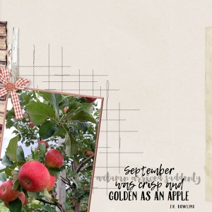 DSD_SundayPM_QuickScrap