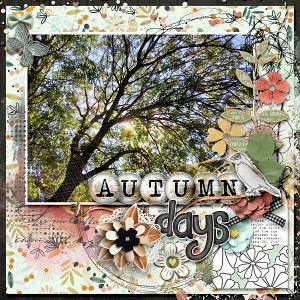 Autumn days