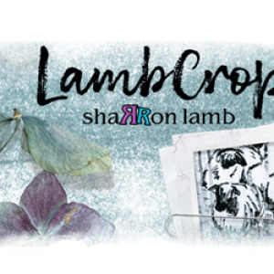 10-19-Lambcrops-Turq-Purp