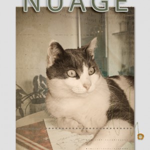 Nuage