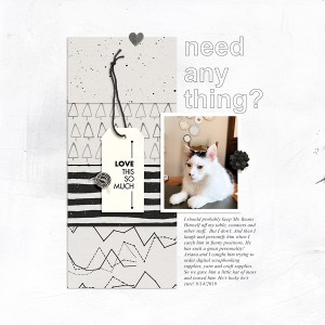 Need Anything?