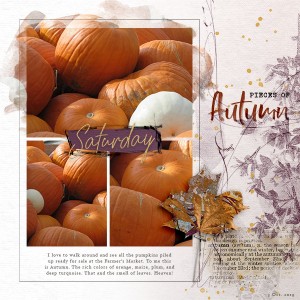 Pieces of Autumn