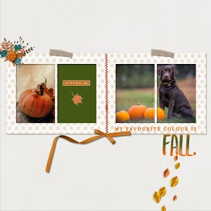 Fall