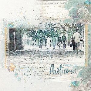 Pieces-of-autumn