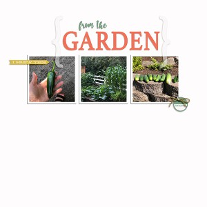 Garden Harvest 2019