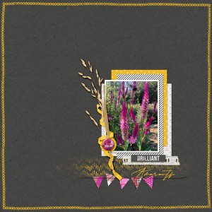 Amaranth