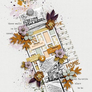 The Perfect Home