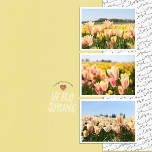 Tulip Festival 2