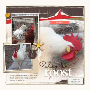 Ruling the Roost