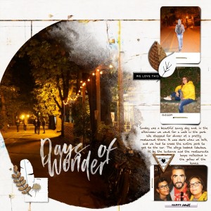 Days Of Wonder