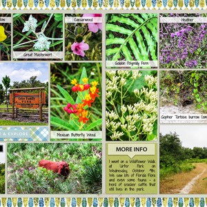 Wildflower Walk