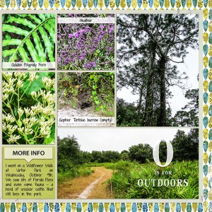 Wildflower Walk_right