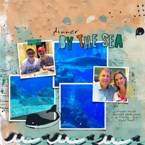 Coral reef