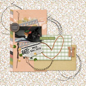 Prd_blogstitchch1019