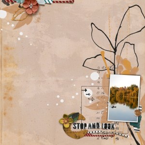 Stop And Look