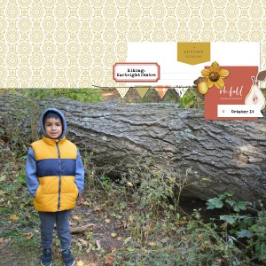 Oct 2019 Monthly Photo Ch
