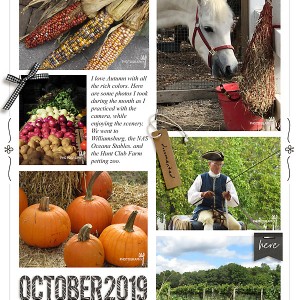 October 2019 Photo Collage