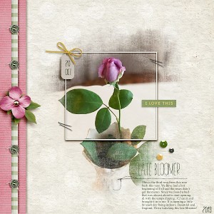 Late Bloomer