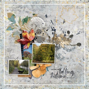 Autumn - Photography Challenge
