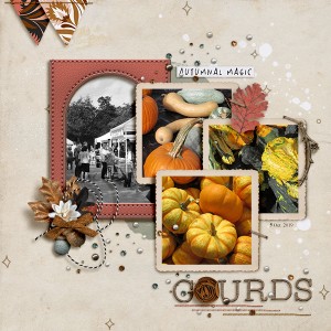 Gourds