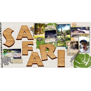 Safari