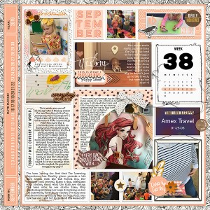 Wk3819a
