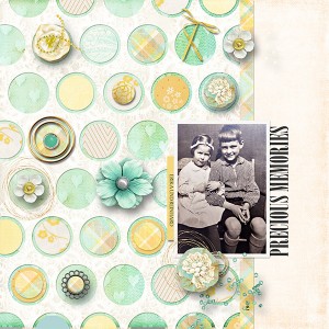 Precious-memories