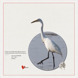 Heron