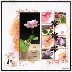 A Single Rose