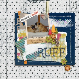 Ruff