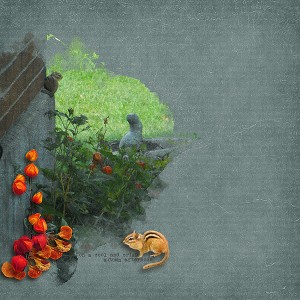 autumn afternoon
