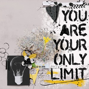 You are your only limit