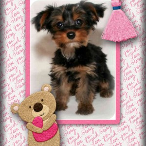 Love-You-Beary-Much