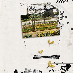 SP