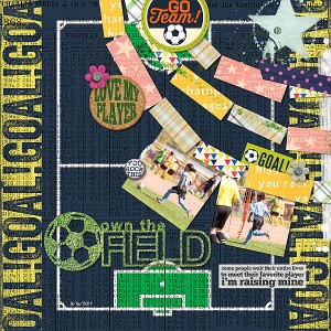 Own The Field
