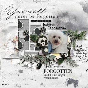 You Will Never Be Forgotten