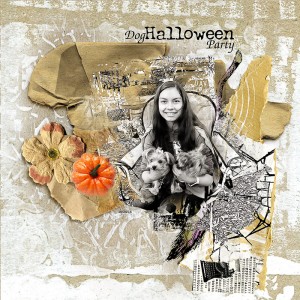 Dog Halloween