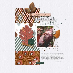 Autumnal Magic