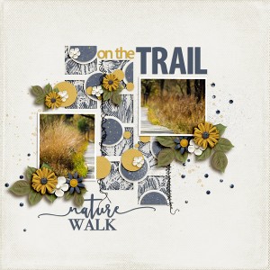 On The Trail
