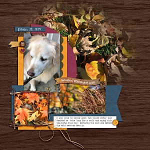 Autumn 2019
