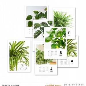 Desktop Calendar 2020