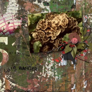 Rachel-Jefferies_2019-11_November_BYOC_Wander&Explore_web